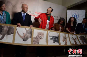 中国艺术家董希源联合国举办个人艺术展（图）