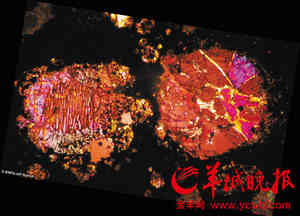 陨石内部就像万花筒