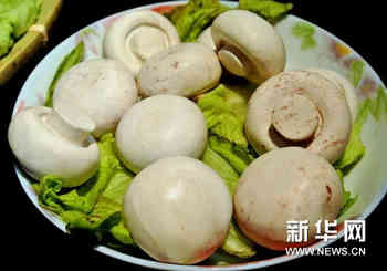 （晚报）（2）文创会上的&ldquo;奇石宴&rdquo;