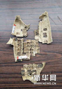 (XHDW)(2)陕西周原遗址首次出土长达30厘米的卜甲