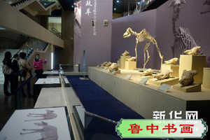 （晚报）（1）甘肃和政古生物化石博物馆扩大展出规模