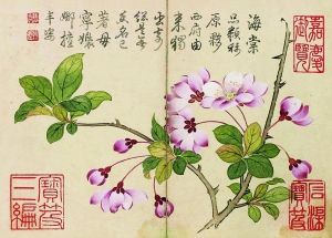 清钱维城《花卉图册》(局部)