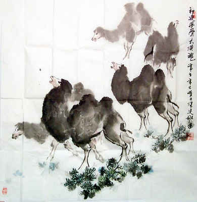 骆驼图