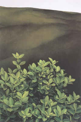 画家李智书画作品-4