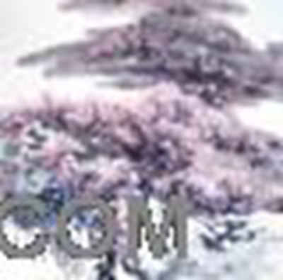王西林书画艺术-1